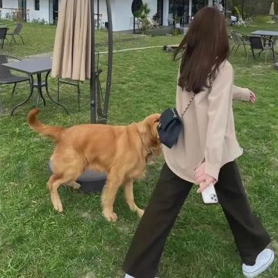 马贩子科尔哈斯